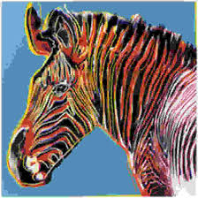 zebra