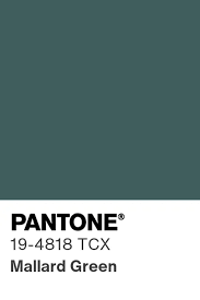 Kleur 10